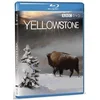 Image de Yellowstone (Import)