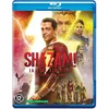 Image de Shazam! - Fury Of The Gods (Blu-ray)
