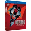Image de Batman Beyond The Animated Series (Blu-ray, Franse Cover)
