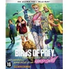 Image de Birds Of Prey (4K Ultra HD Blu-ray)