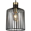 Image de Searchlight Hanglamp Bird Cage Ø 22cm - 9413BK