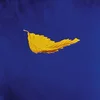 Image de True Faith