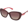 Image de Superdry Sunglasses SDS 5022 162 56