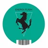 Image de Energy Flash (2014 Reissue, 1-Sided Vinyl)