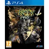 Image de Dragon's Crown Pro - PS4