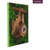Image de Diamond Painting Pakket Luiaard 30 x 30 cm