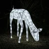 Image de Verlicht kerstfiguur - LED Rendier Hert - Wit - 12 meter kabel - 120 witte lampjes - kerstverlichting kerstversiering