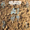 Image de James Krivchenia - Performing Belief (LP) (Coloured Vinyl)