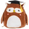 Image de mumbles buddy-knuffel-wijze uil-borduren-tekst-naam