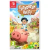 Image de Everdream Valley - Switch