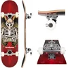 Image de Birdhouse Stage 1 TH Icon Red