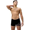 Image de Speedo Medley Logo Aquashort Heren Sportzwembroek - Zwart/Oranje