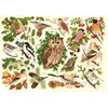 Image de House of Puzzles legpuzzel Woodland Birds 500 XL stukjes karton.