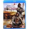 Image de Little Big Soldier