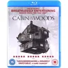 Image de The Cabin in the Woods [Blu-Ray]