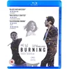 Image de Burning
