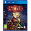 Image de Candle