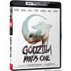 Image de Godzilla Minus One