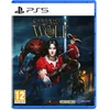 Image de Chronicles of the Wolf - PS5