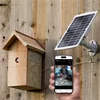 Image de Nestera Nestkast Wifi Camera Met Zonnepaneel - Broeden - 19x22x34 cm Donker Hout