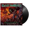 Image de From Fear To Eternity: The Best Of 1990-2010 (LP)
