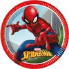 Image de Spiderman Bordjes FSC®