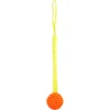 Image de FLAMINGO - HS LIPA TPU BAL+BUNGEE GEEL/ORANJE 40x6,5x6,5CM