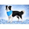 Image de Halsband hond - koelbandana hond - verkoelende hondenbandana - M - Fresk Inou Blauw - verkoelend halsdoekje voor honden - 70 cm