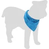 Image de Flamingo Fresk Inou - Koelbandana Honden - Koelbandana Fresk Inou S Blauw 52x22cm - 1st - 136493 - 1st