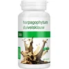 Image de Purasana Duivelsklauw - 120 caps - BIO