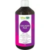 Image de Vitasil Collagen Plus - Supplement - Huidveroudering - Voedingssupplement met hyaluronzuur   500 ml