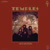Image de Temples - Hot Motion (2 LP)