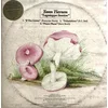 Image de Yann Tiersen - Lagniappe Session (12" Single) (Limited Edition) (Coloured Vinyl)
