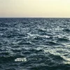 Image de dEUS - Following Sea (LP)