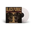 Image de Black Pumas - Chronicles Of A Diamond (LP) (Coloured Vinyl)