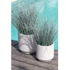 Image de J-Line gras In Pot - metaal/kunststof - blauw/groen - medium