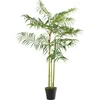 Image de J-Line plant Bamboepalm In Pot - kunststof - groen/zwart - small