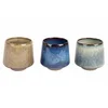 Image de Cocoon Autumn Beker 24cl Set3 D8,5 Xh8cm