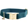 Image de Kentucky Dogwear - Hondenhalsband - Velvet Emerald - Stijlvolle hondenhalsband - Handige clip - 28-40 cm - S - Hondenriem