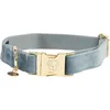 Image de Kentucky Dogwear - Hondenhalsband - Velvet - Lichtblauw S - 28-40cm - Hondenriem
