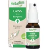 Image de Herbalgem - Zwarte bessenknop - spuitformaat - 15 ml