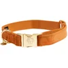 Image de Kentucky Dogwear - Velvet Hondenhalsband - Oranje - Maat XL - 45-75cm - Hondenriem