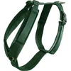 Image de kentucky Honden Harnas Active Velvet Dannengreen - S 26-40cm