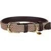 Image de Kentucky Dogwear - Hondenhalsband - Gevlochten Nylon Hondenriem - Beige - Maat M/L (58cm)