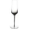 Image de S|P Collection - Champagneglas 23cl smoked - Secrets - set/2