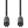 Image de Nedis Optische Audiokabel - TosLink Male - TosLink Male - 2.00 m - Rond - PVC - Antraciet - Doos