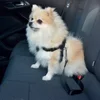 Image de Veiligheidsharnas Hond Auto