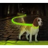 Image de Nylon Licht Halsband Veiligheidslicht - Dierenlampje - Groen - 45 cm