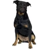 Image de Duvoplus - Muilkorf - Hond - Muilband Nylon 57-83cm - 1st