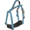 Image de Duvoplus - Hondentuigje - Hond - Explor North Harnas Nylon S 30-40cm/15mm Petrol - 1st